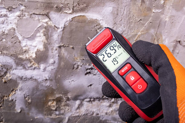Best Water Damage Restoration  in Culver City, CA