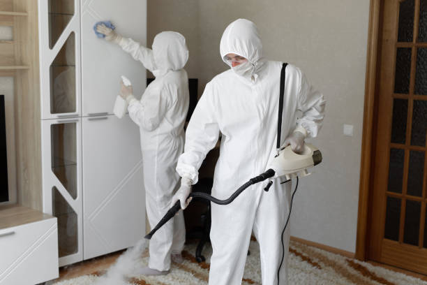 Best Attic Mold Removal  in Culver City, CA