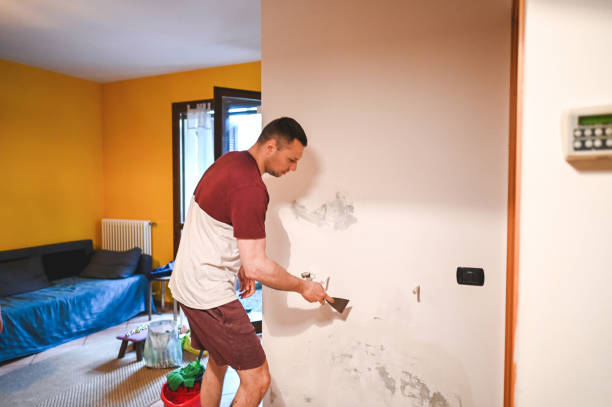 Best Black Mold Removal  in Culver City, CA